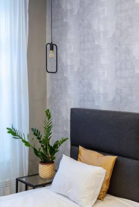 Luxurious Studio Located In The Heart Of Budapešť Exteriér fotografie